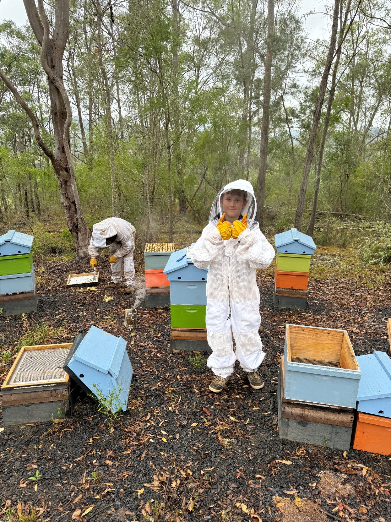 A father and his son among beehives in the Australian bush